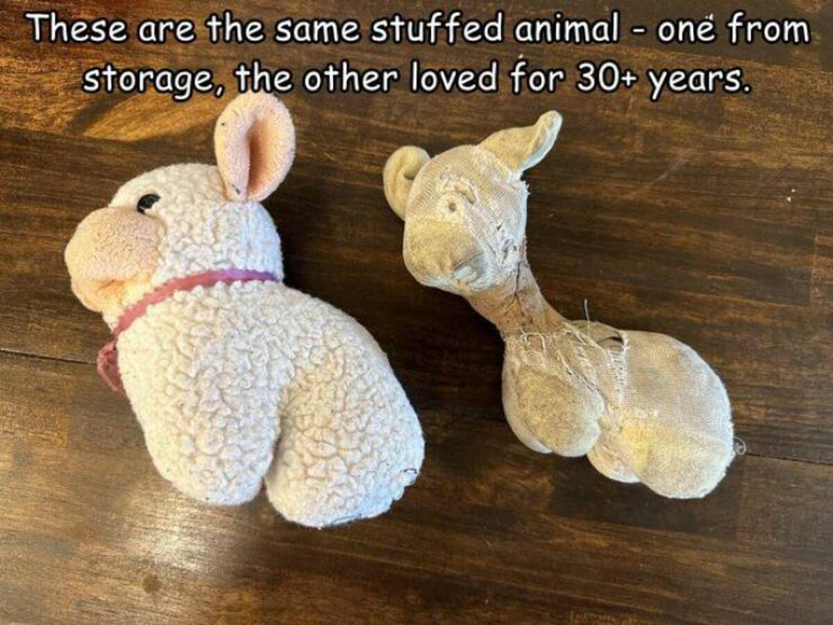 stuffed toy - These are the same stuffed animal one from storage, the other loved for 30 years.