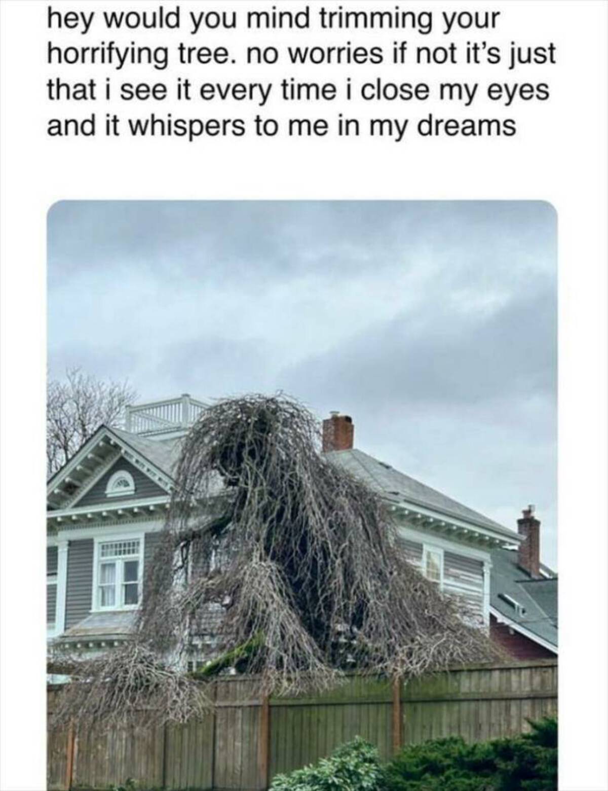 hey would you mind trimming your terrifying tree - hey would you mind trimming your horrifying tree. no worries if not it's just that i see it every time i close my eyes and it whispers to me in my dreams
