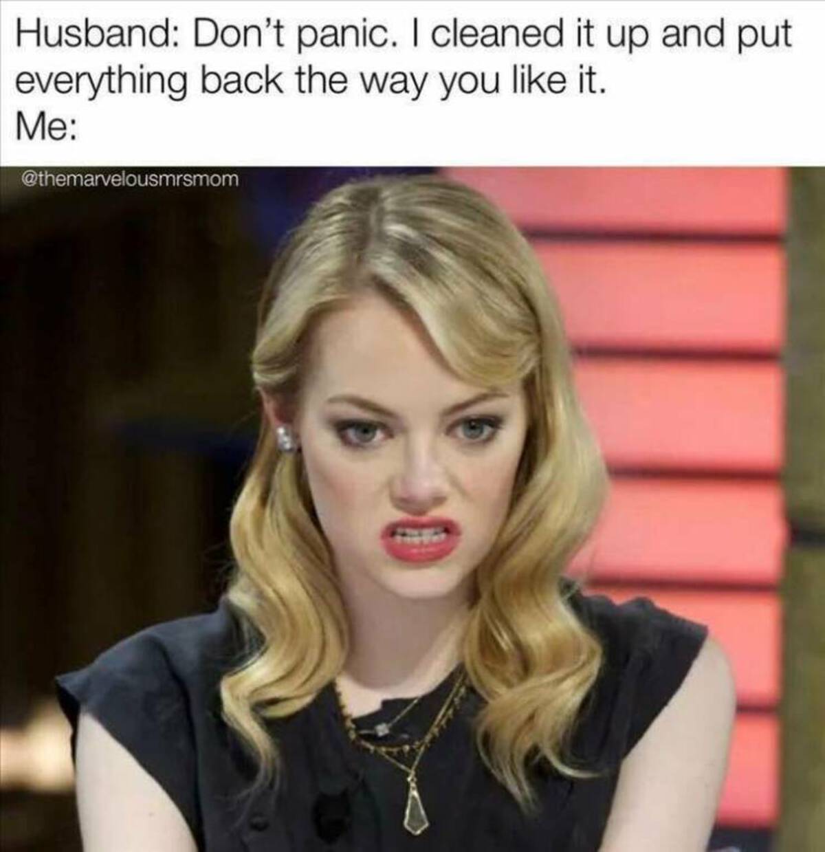 Meme - Husband Don't panic. I cleaned it up and put everything back the way you it. Me
