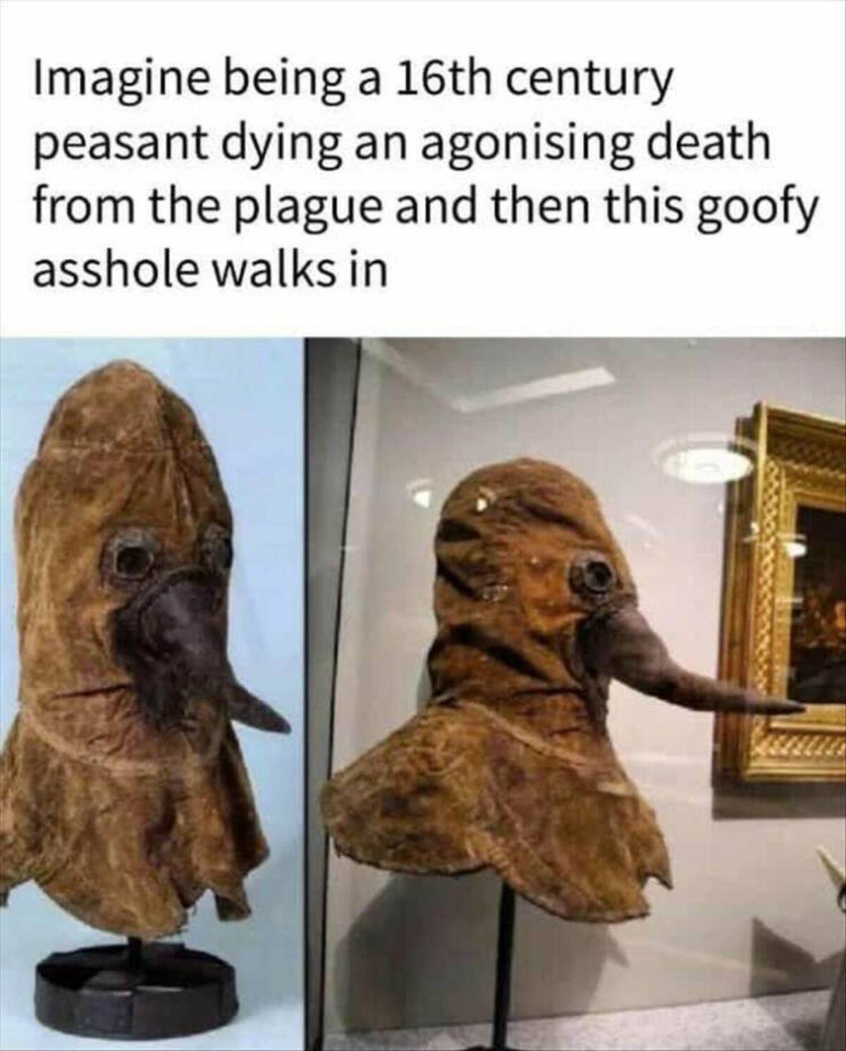 original plague doctor mask - Imagine being a 16th century peasant dying an agonising death from the plague and then this goofy asshole walks in