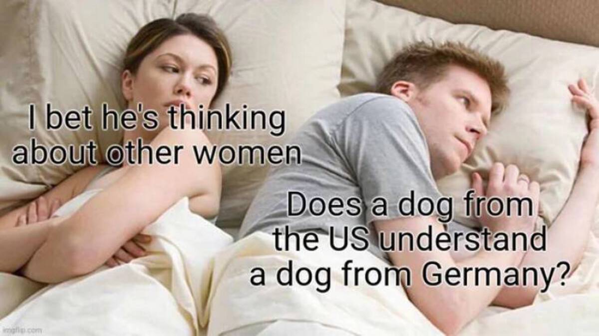 he's probably thinking of other women - I bet he's thinking about other women. Does a dog from the Us understand a dog from Germany? imgflip.com
