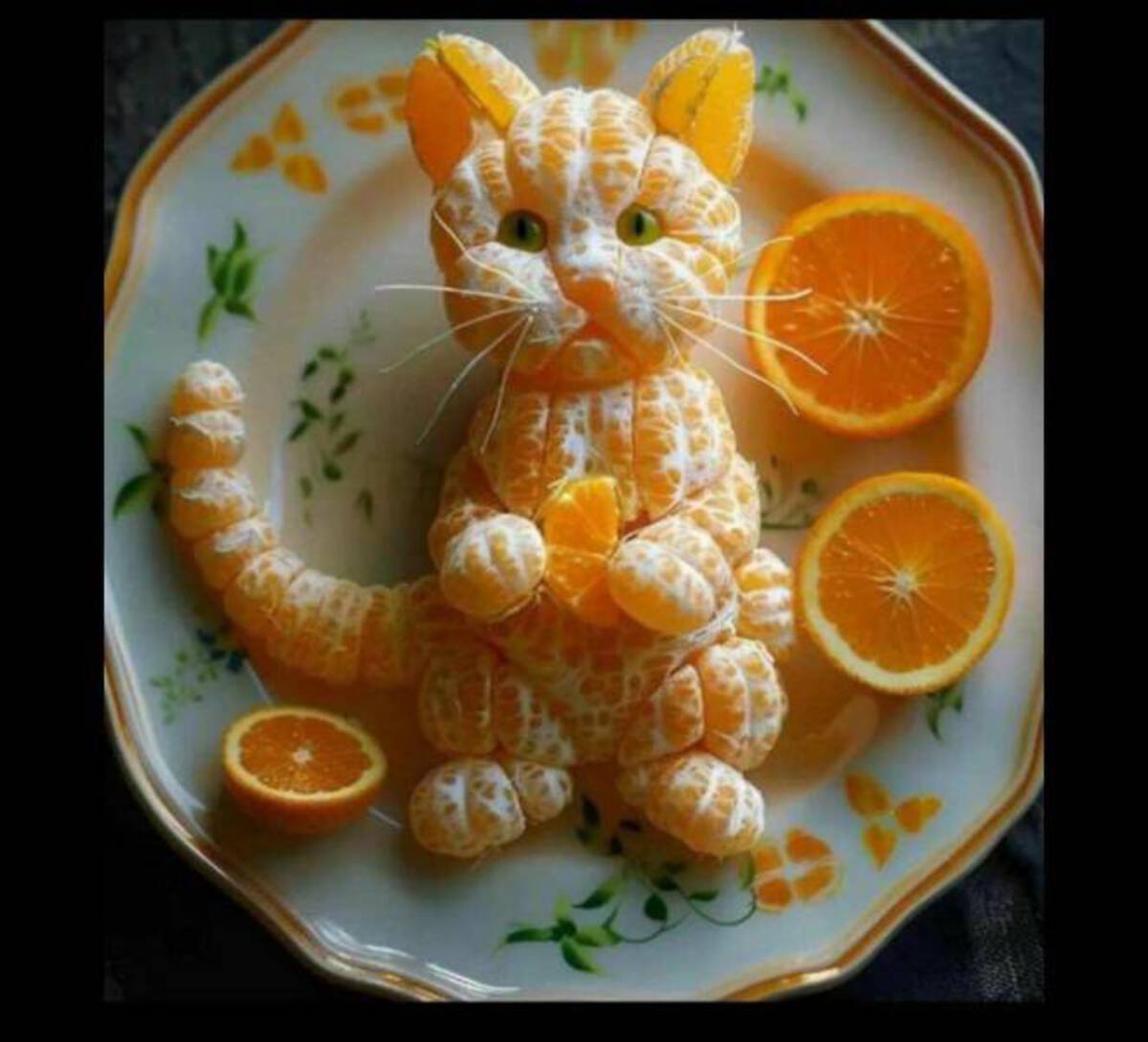 cat made of tangerines