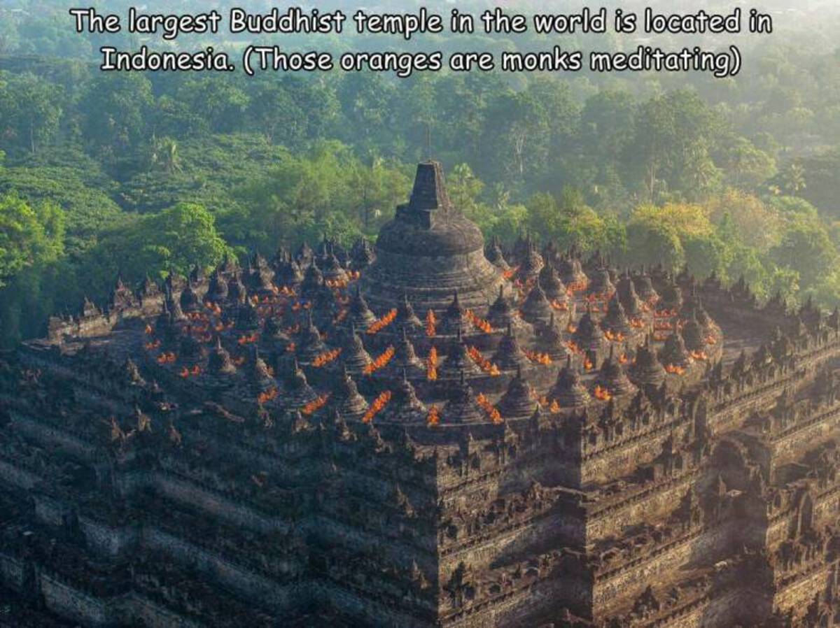 hindu temple - The largest Buddhist temple in the world is located in Indonesia. Those oranges are monks meditating