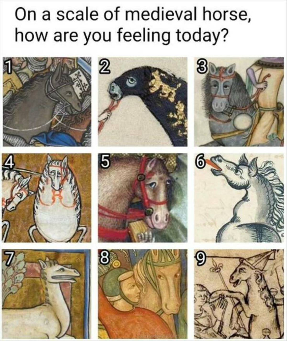 Horse - On a scale of medieval horse, how are you feeling today? 1 2 4 5 3 100 7 8 An 9 B