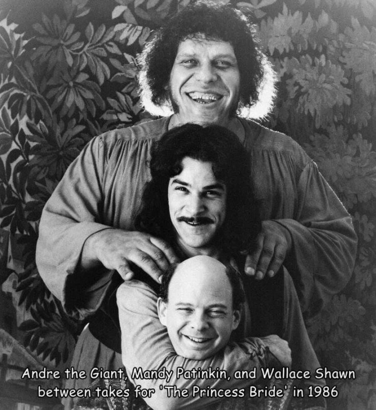 deborah eisenberg wallace shawn - Andre the Giant, Mandy Patinkin, and Wallace Shawn between takes for 'The Princess Bride in 1986