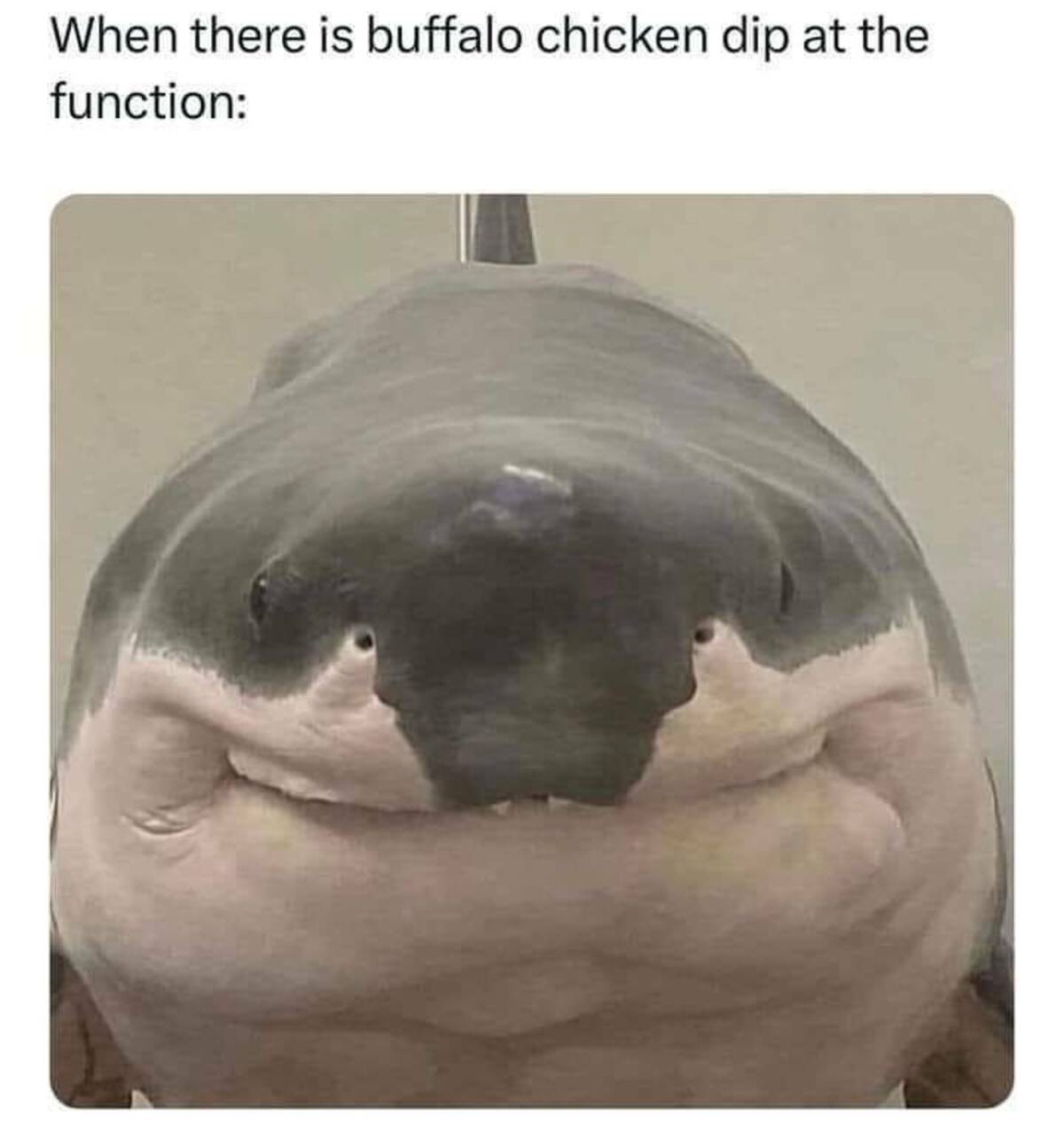 sharf shark - When there is buffalo chicken dip at the function