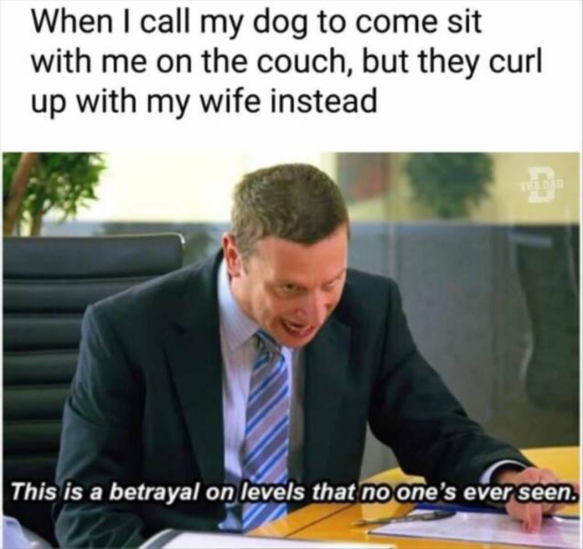 itysl betrayal - When I call my dog to come sit with me on the couch, but they curl up with my wife instead The Dad C This is a betrayal on levels that no one's ever seen.