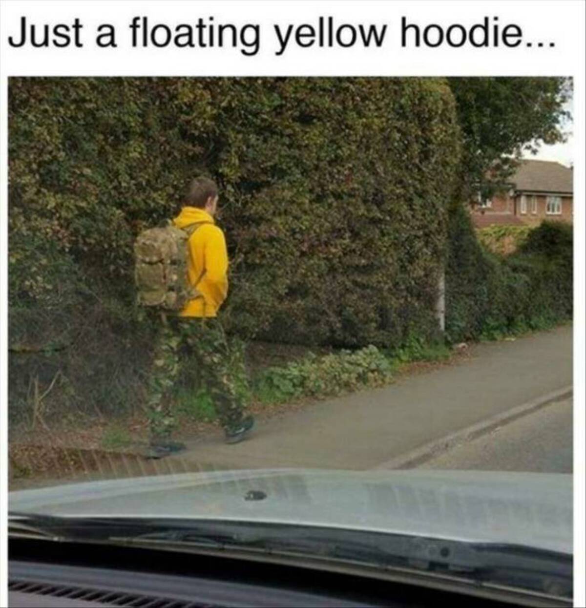tree - Just a floating yellow hoodie....