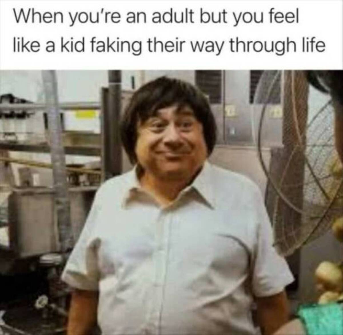 danny devito young always sunny - When you're an adult but you feel a kid faking their way through life