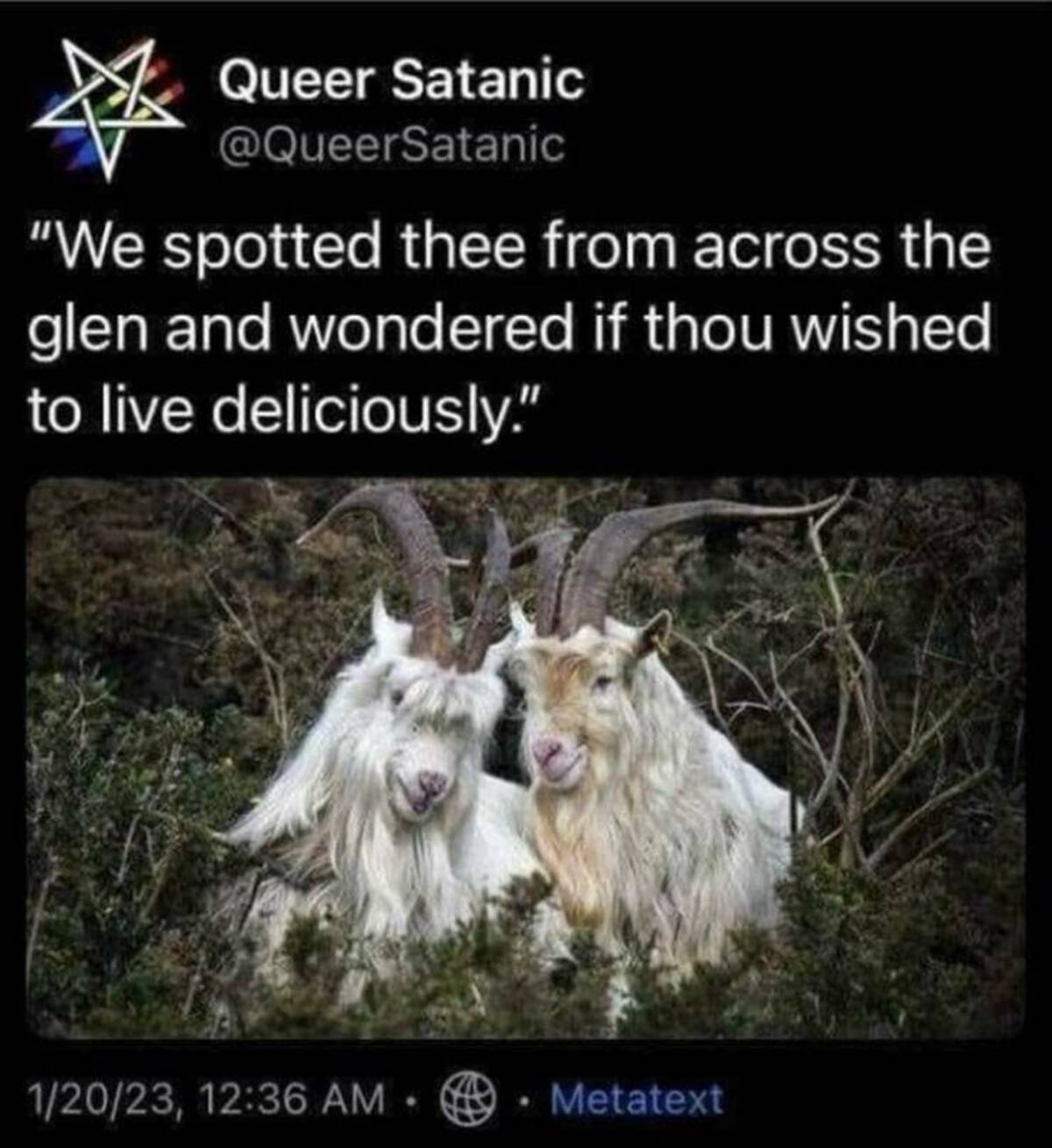 cashmere goat - Queer Satanic "We spotted thee from across the glen and wondered if thou wished to live deliciously." 12023, Metatext