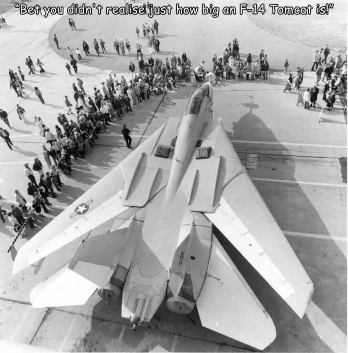 big is the f 14 - "Bet you didn't realise just how big an F14 Tomcat is!"
