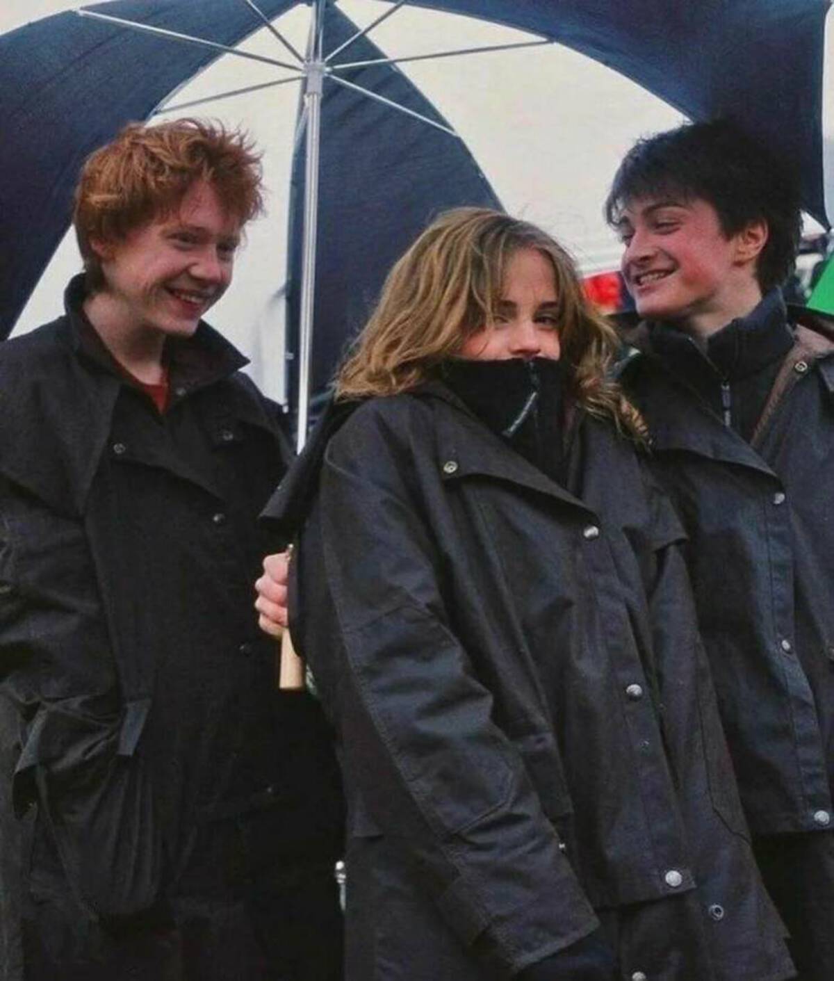 golden trio under umbrella