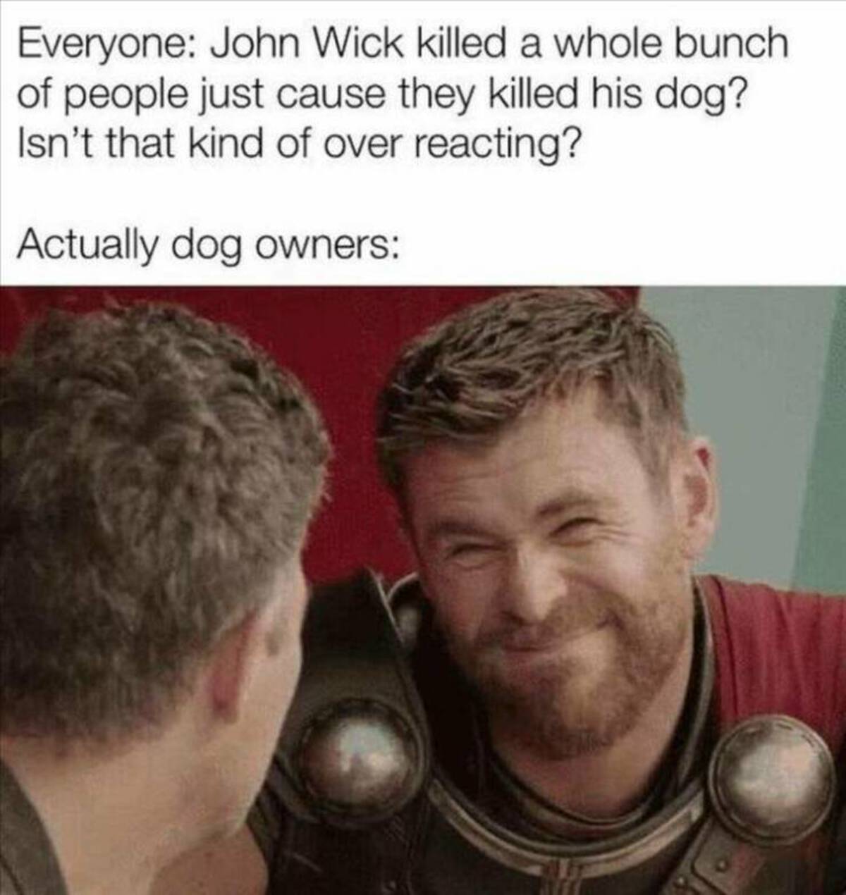 journalist memes - Everyone John Wick killed a whole bunch of people just cause they killed his dog? Isn't that kind of over reacting? Actually dog owners