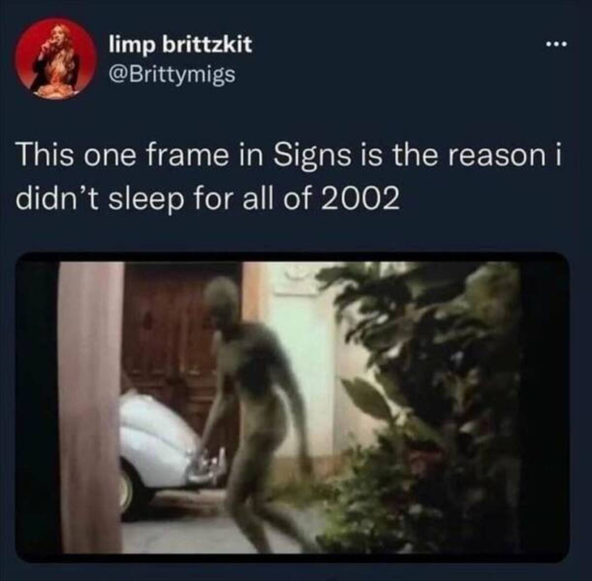 signs movie meme - limp brittzkit This one frame in Signs is the reason i didn't sleep for all of 2002