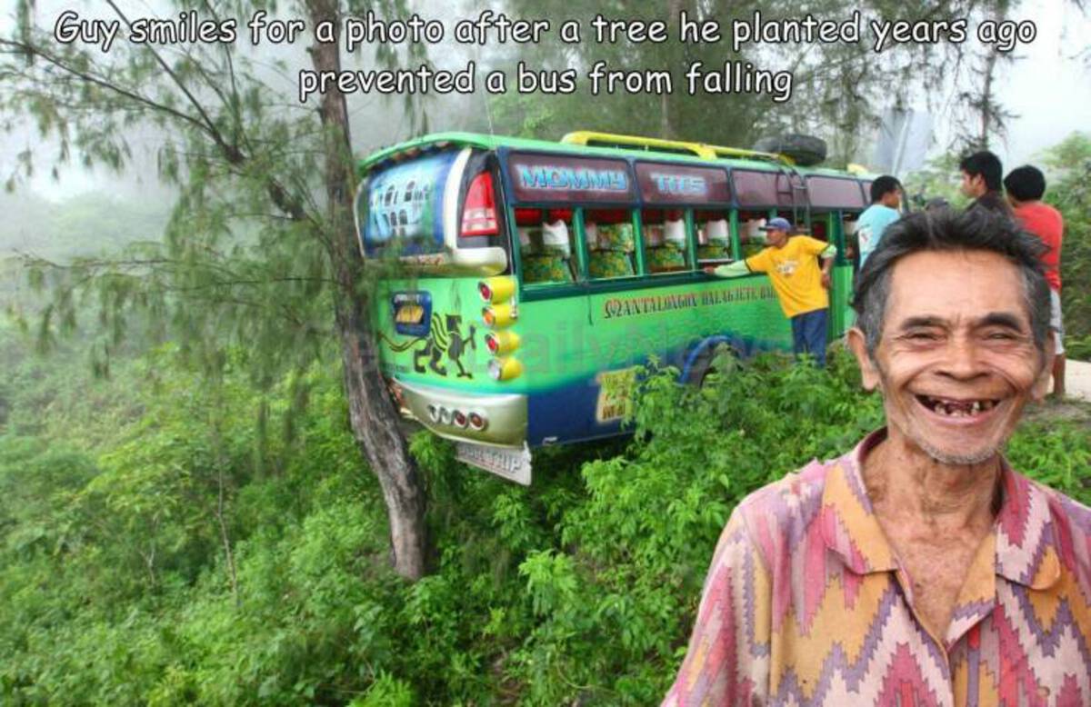 Tree - Guy smiles for a photo after a tree he planted years ago prevented a bus from falling Mommy This 332 $2ANTALOAGIN Halabjete M