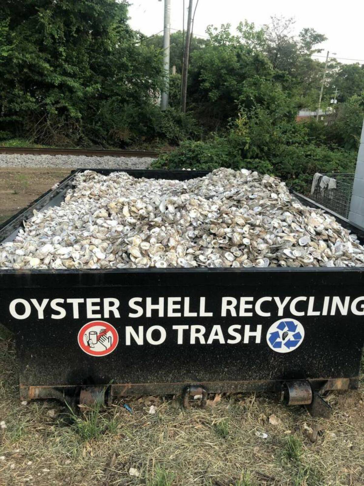 grass - Oyster Shell Recycling No Trash
