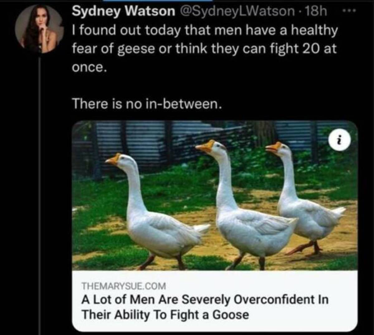 can a human beat a goose - Sydney Watson 18h I found out today that men have a healthy fear of geese or think they can fight 20 at once. There is no inbetween. 2 Themarysue.Com A Lot of Men Are Severely Overconfident In Their Ability To Fight a Goose