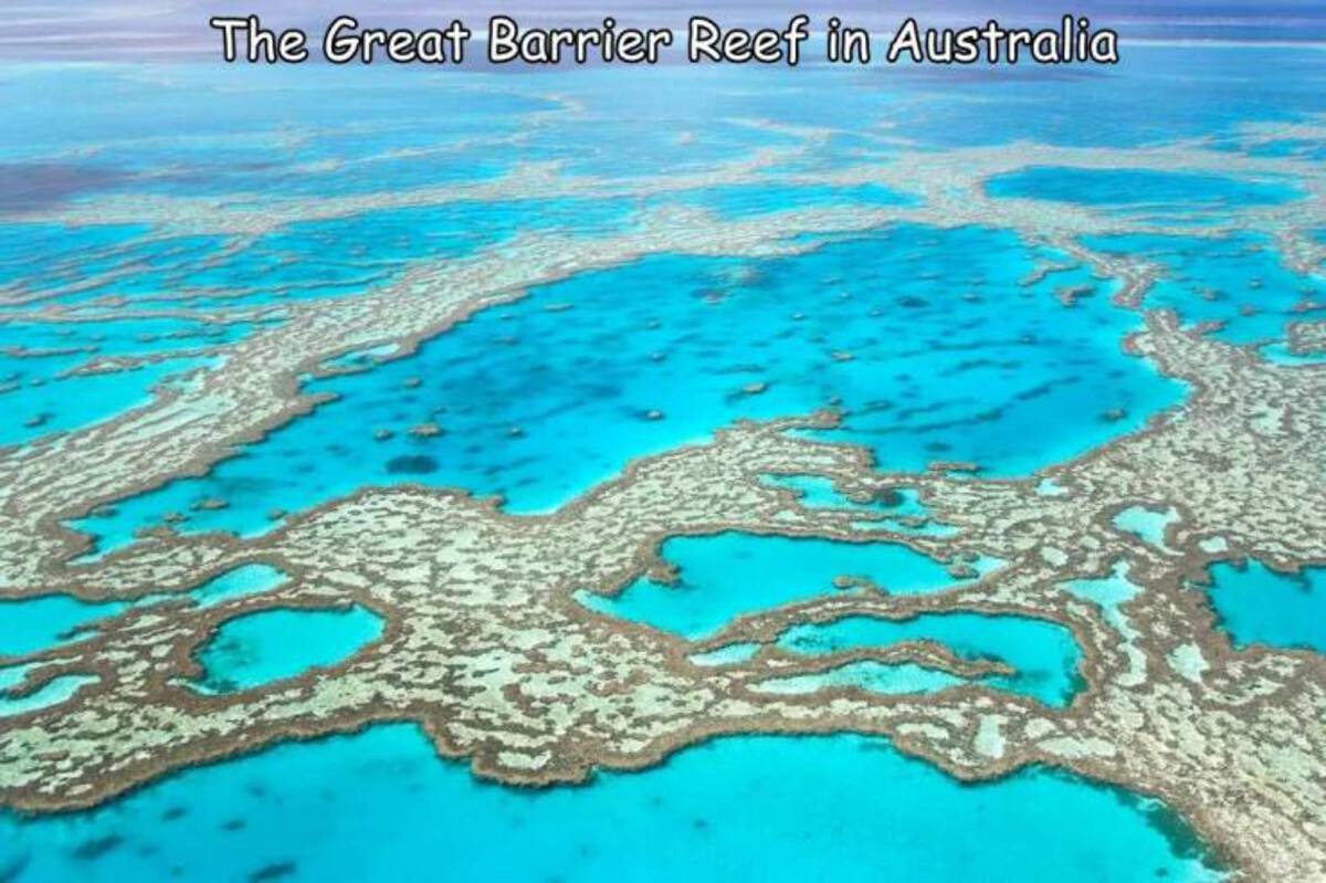 great barrier reef made - The Great Barrier Reef in Australia