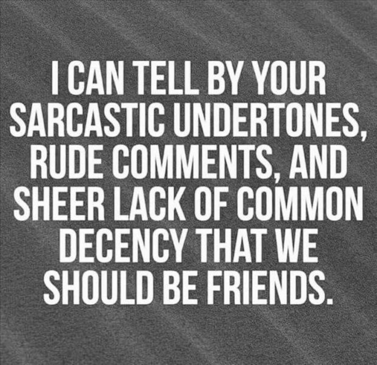 monochrome - I Can Tell By Your Sarcastic Undertones, Rude , And Sheer Lack Of Common Decency That We Should Be Friends.