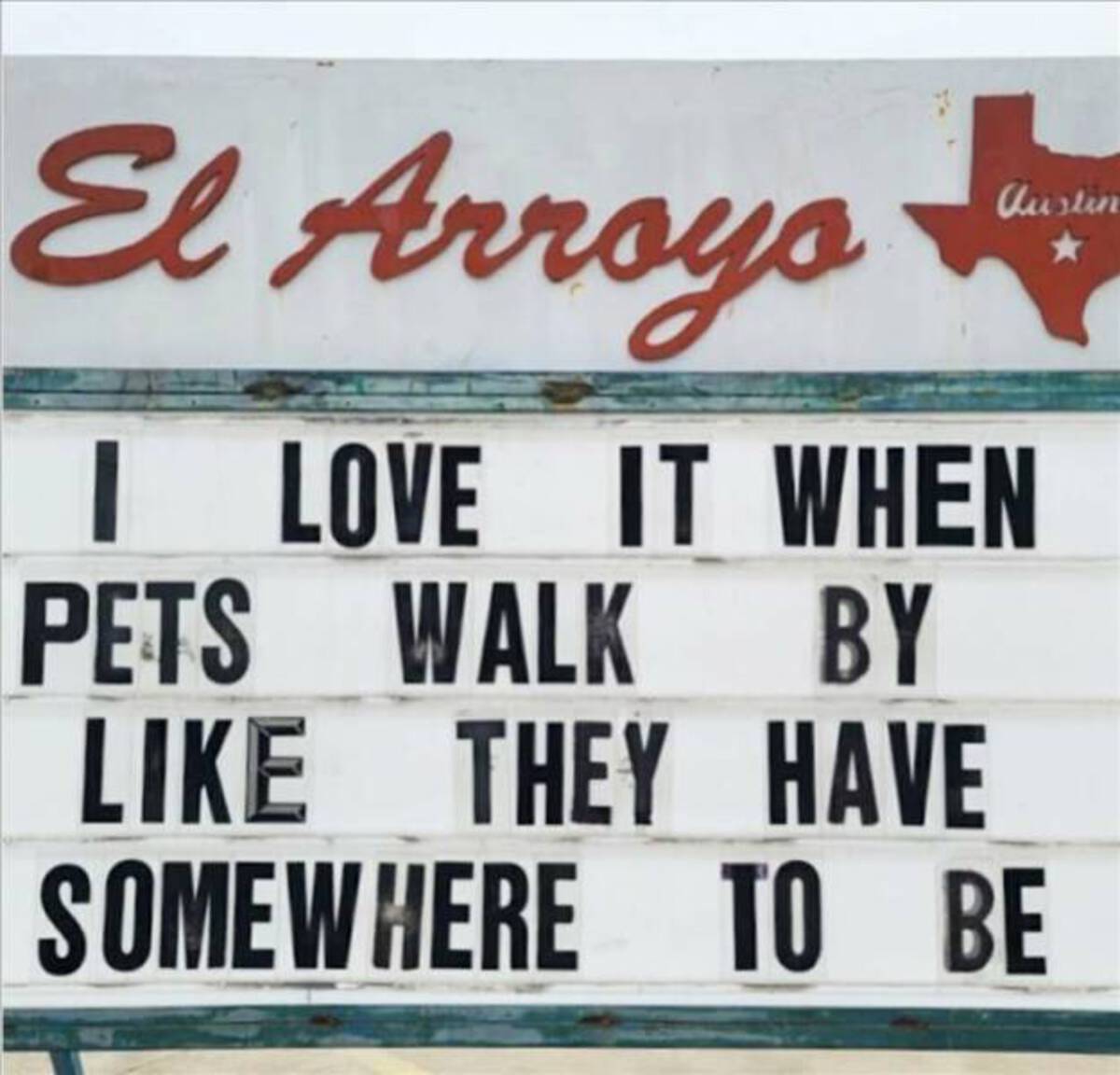 signage - El Arroyo Austin I Love It When Pets Walk By They Have Somewhere To Be k