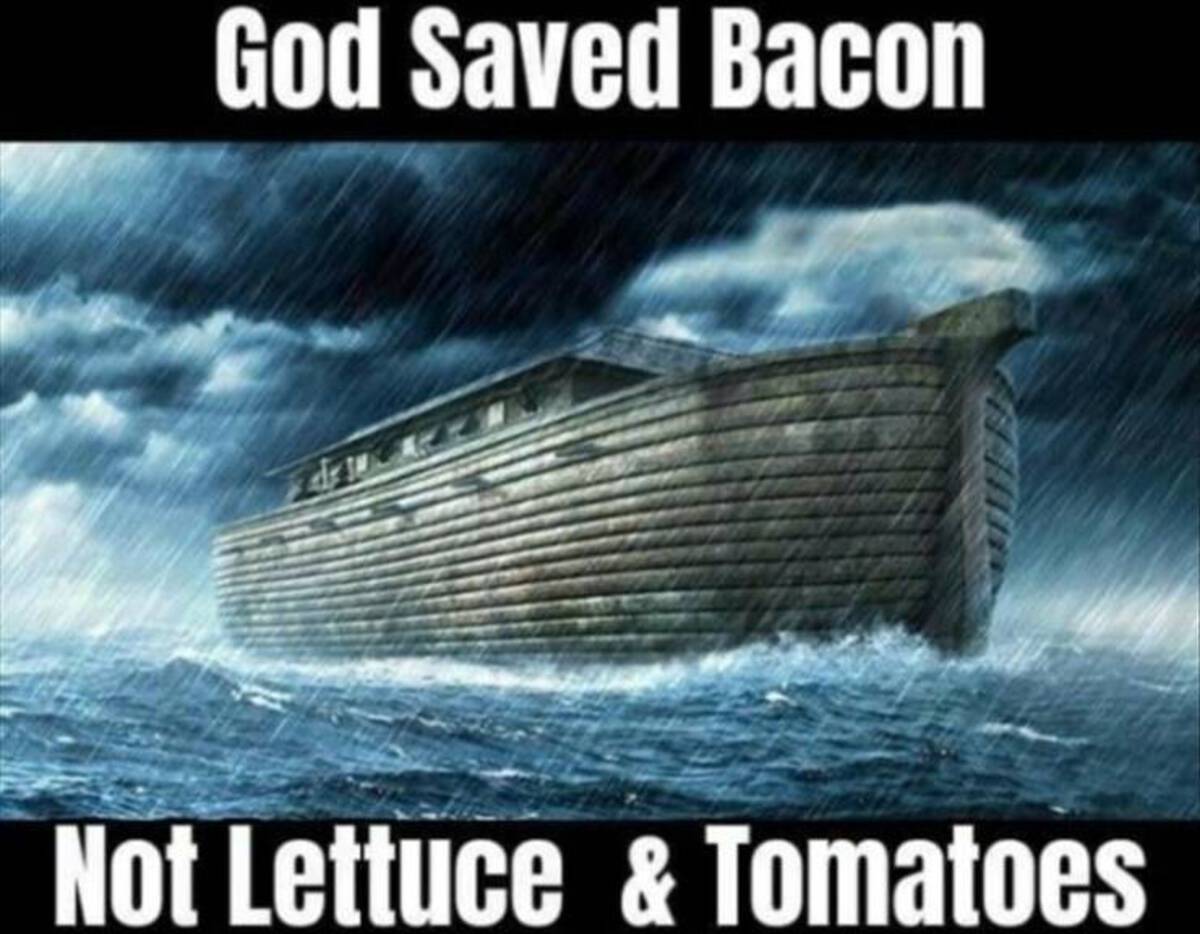 get on the ark - God Saved Bacon Not Lettuce & Tomatoes