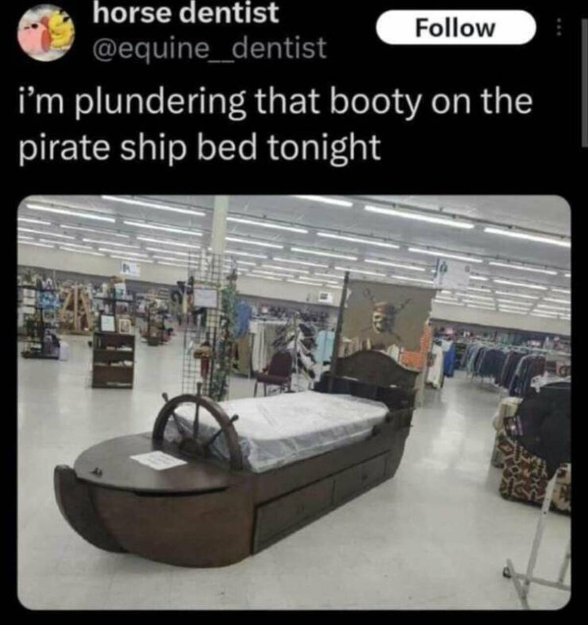 plundering that booty on the pirate ship bed - Way horse dentist i'm plundering that booty on the pirate ship bed tonight