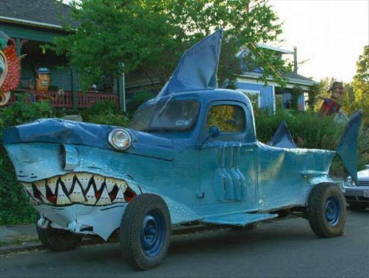 animal themed car