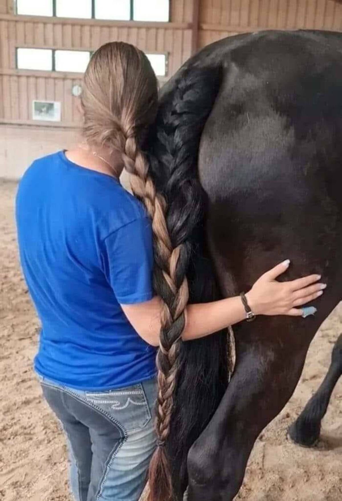 horse girl braid