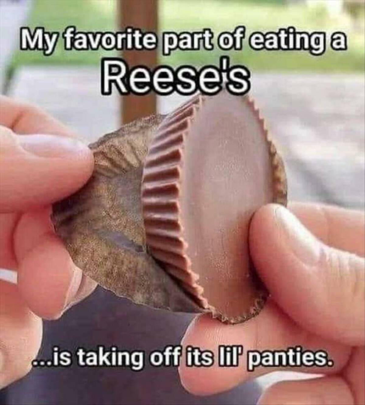 reeses panties meme - My favorite part of eating a Reese's ...is taking off its lil' panties.