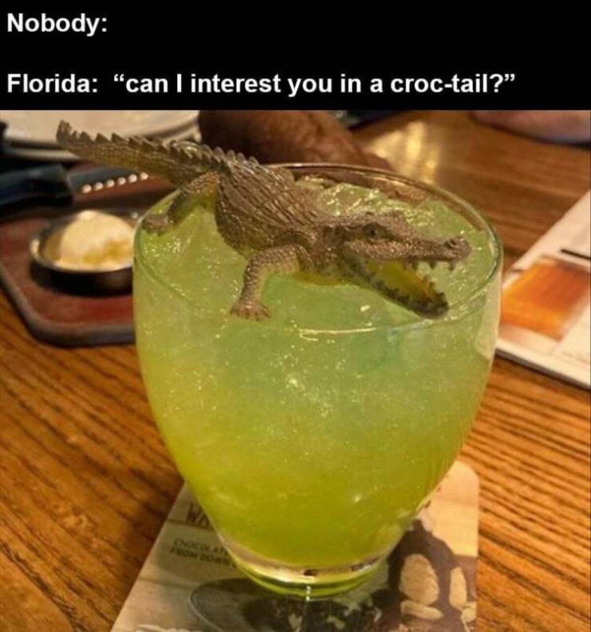outback croc tail - Nobody Florida "can I interest you in a croctail?" W Chocolat From Down