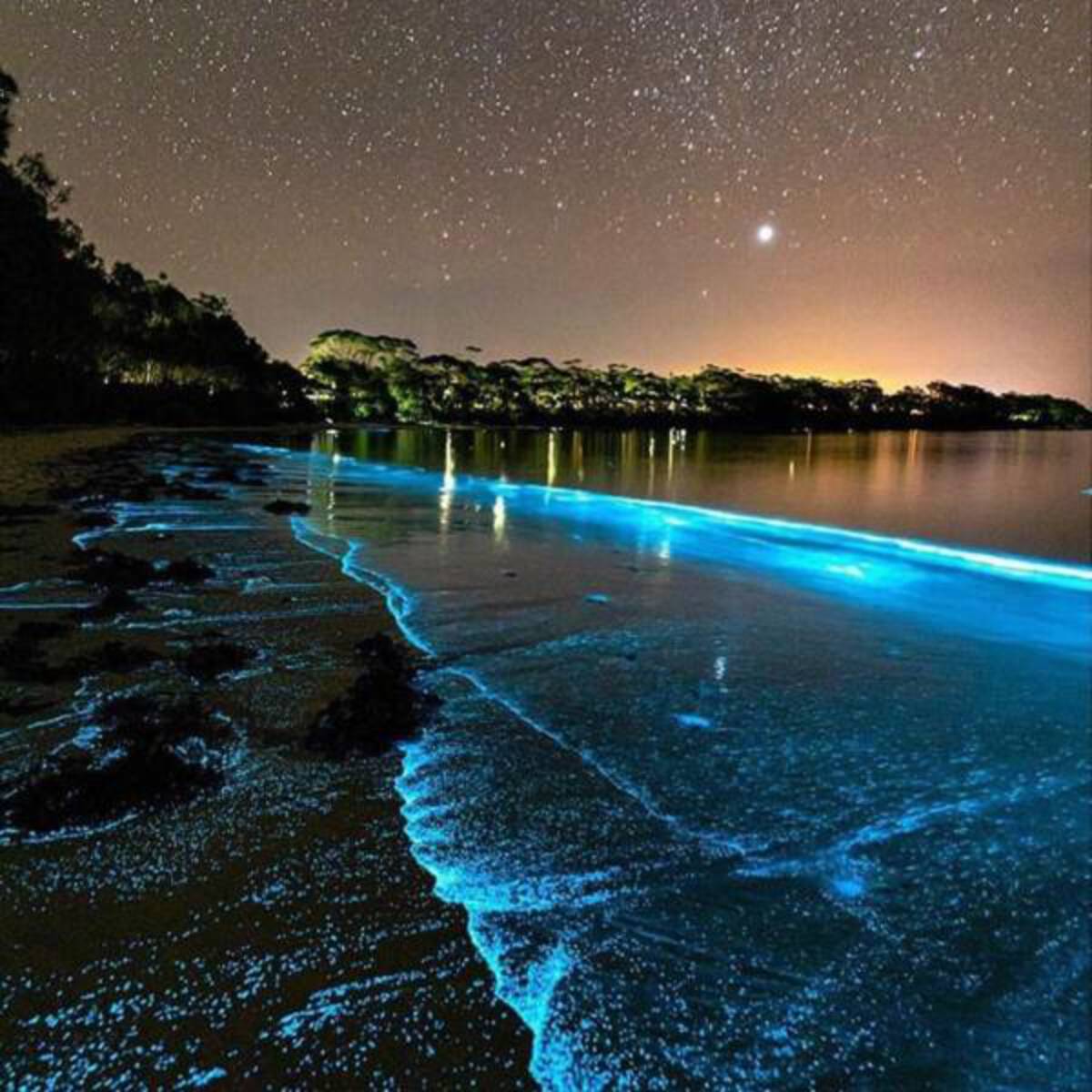 australia sea night