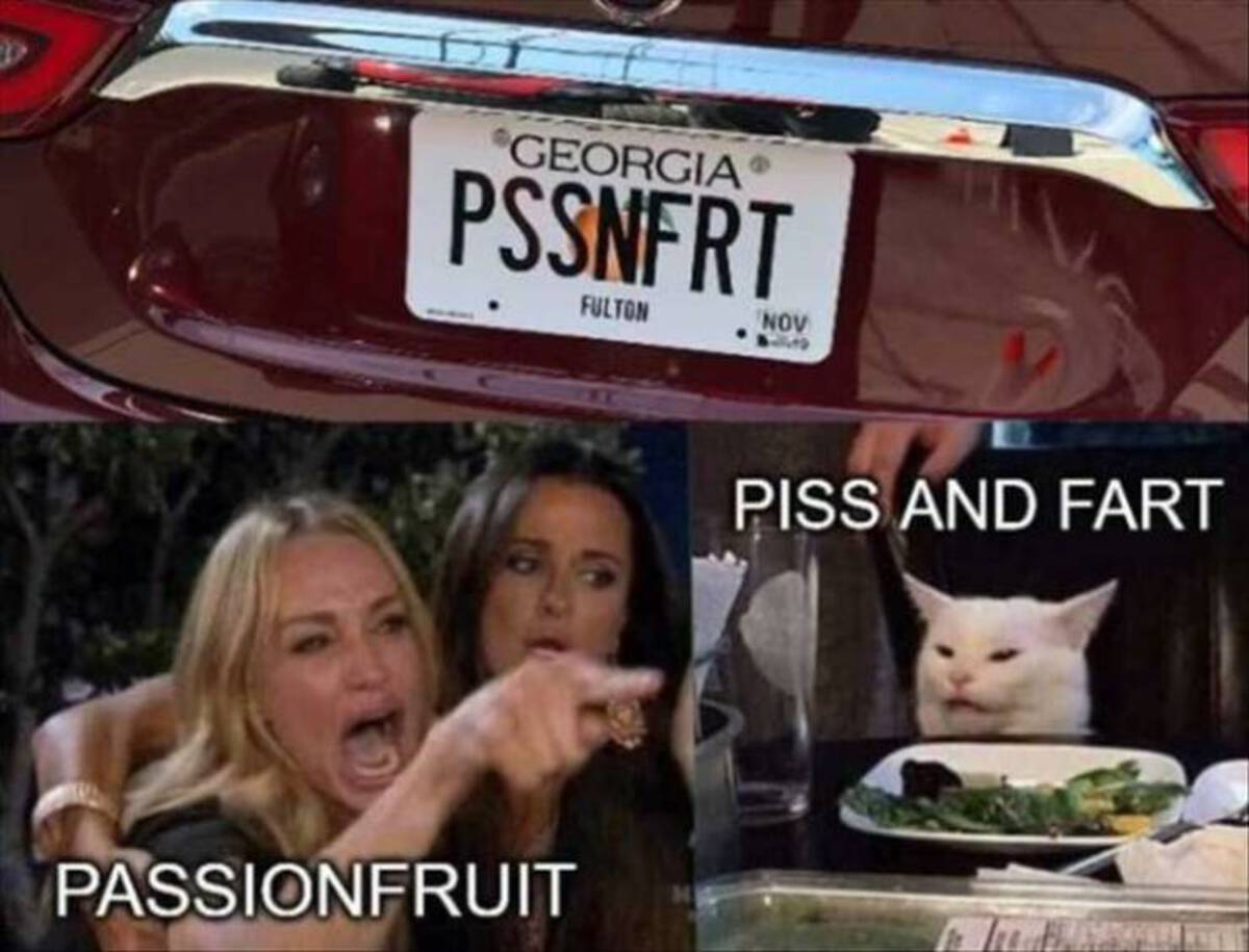 cat and lady meme - Georgia Pssnfrt Fulton Nov Passionfruit Piss And Fart