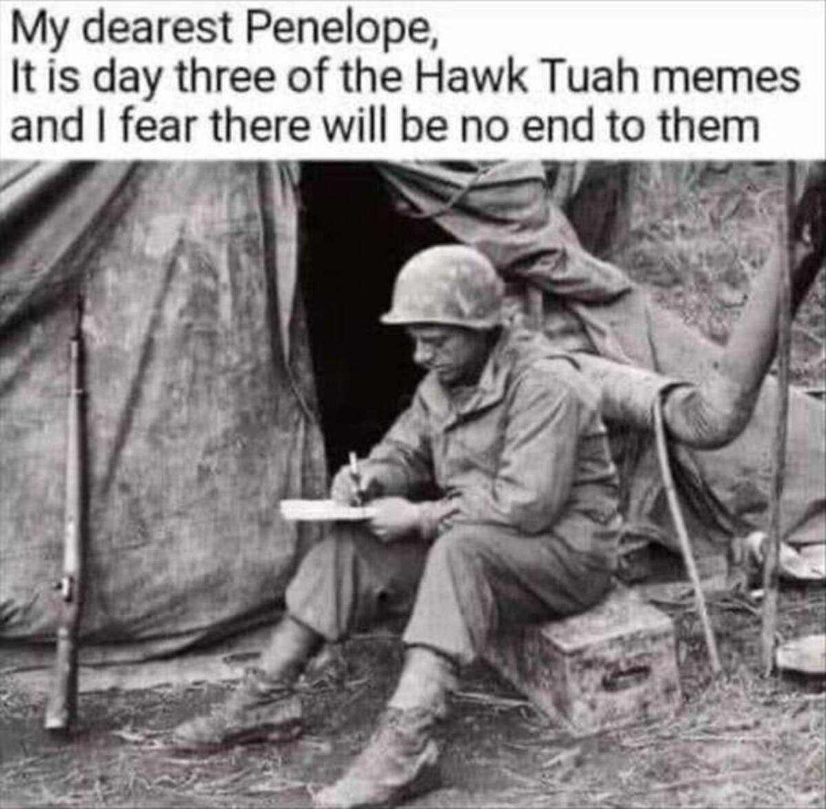 dear penelope meme - My dearest Penelope, It is day three of the Hawk Tuah memes and I fear there will be no end to them