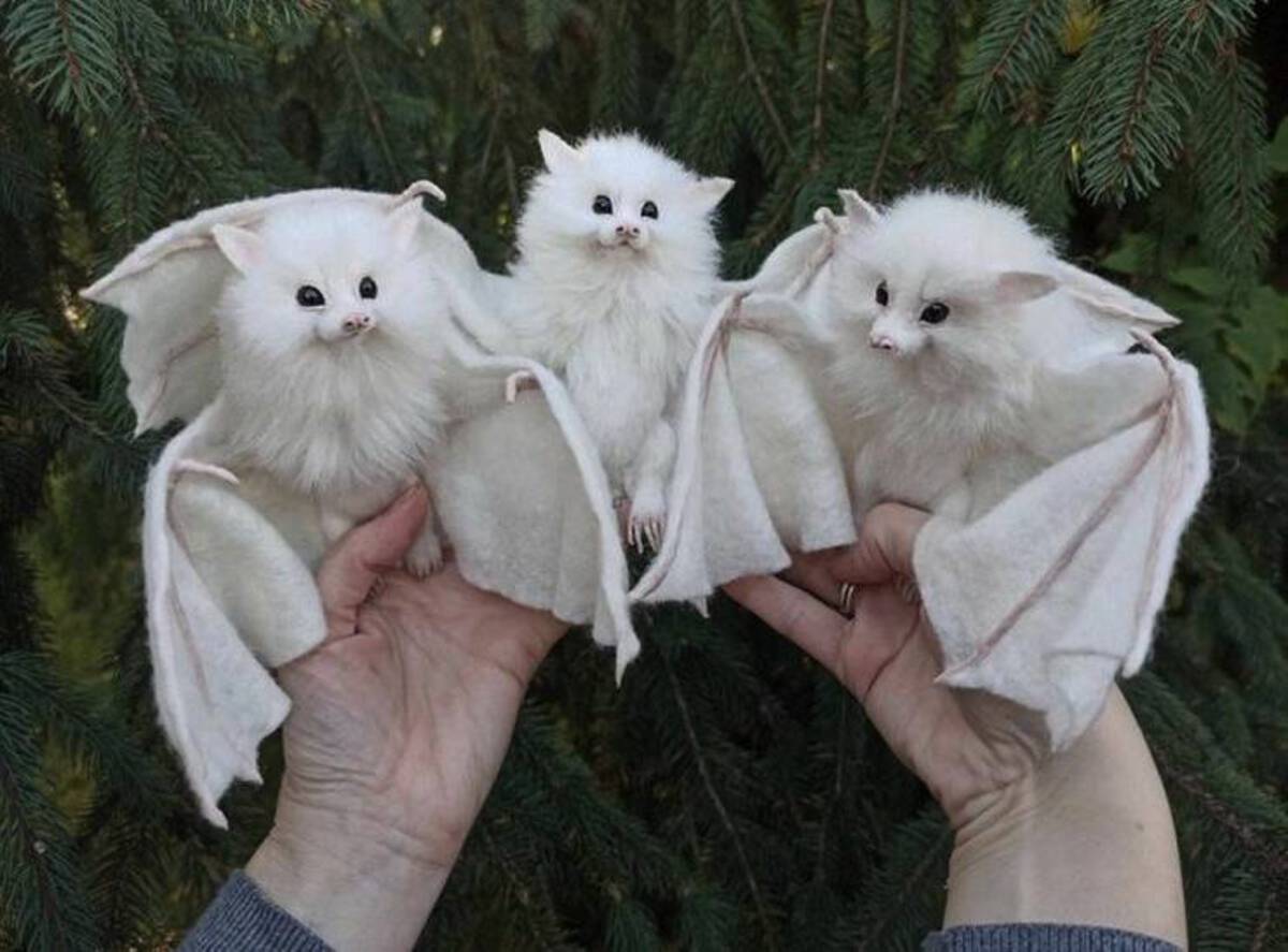 white fluffy bats