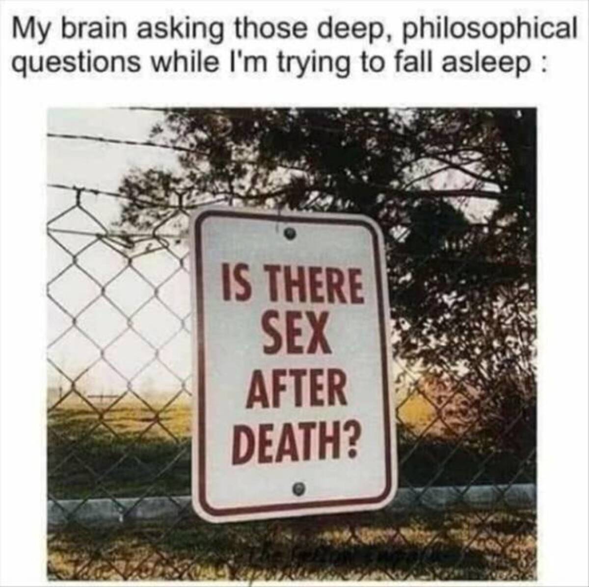 My brain asking those deep, philosophical questions while I'm trying to fall asleep Is There Sex After Death?