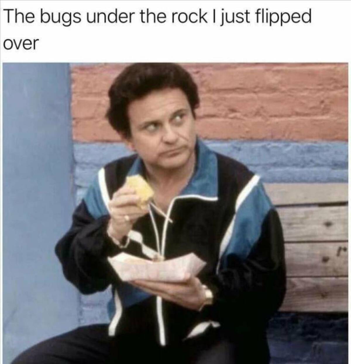 vinny my cousin vinny - The bugs under the rock I just flipped over