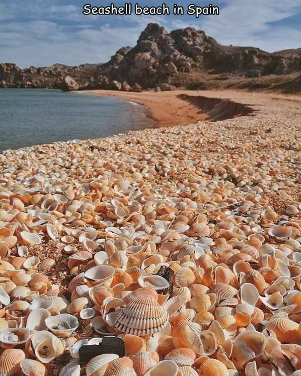 seashell beach spain - Seashell beach in Spain