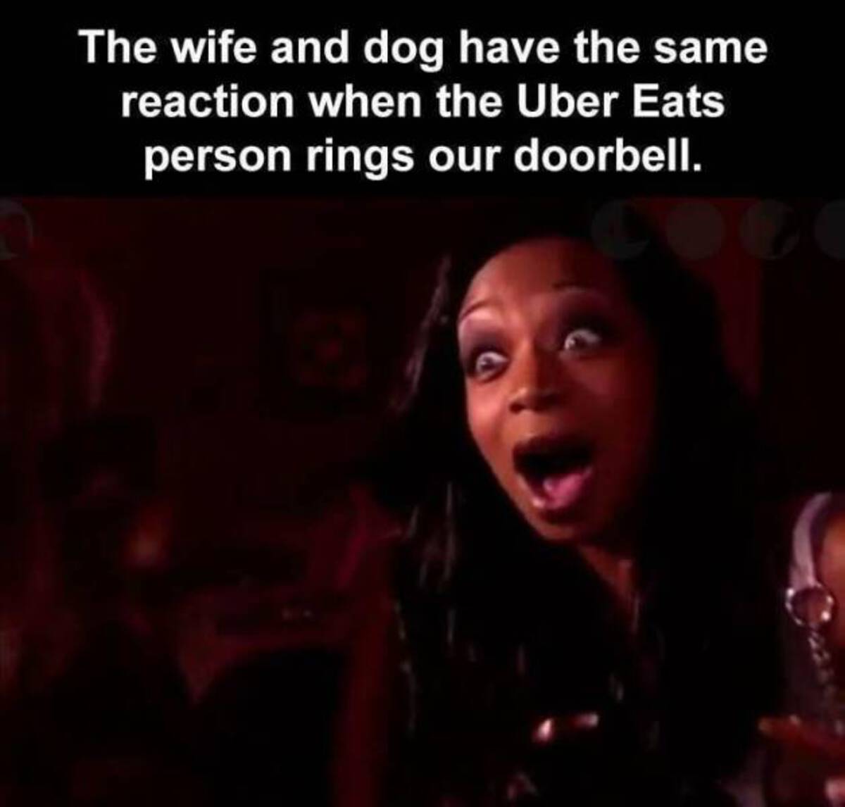 The wife and dog have the same reaction when the Uber Eats person rings our doorbell.