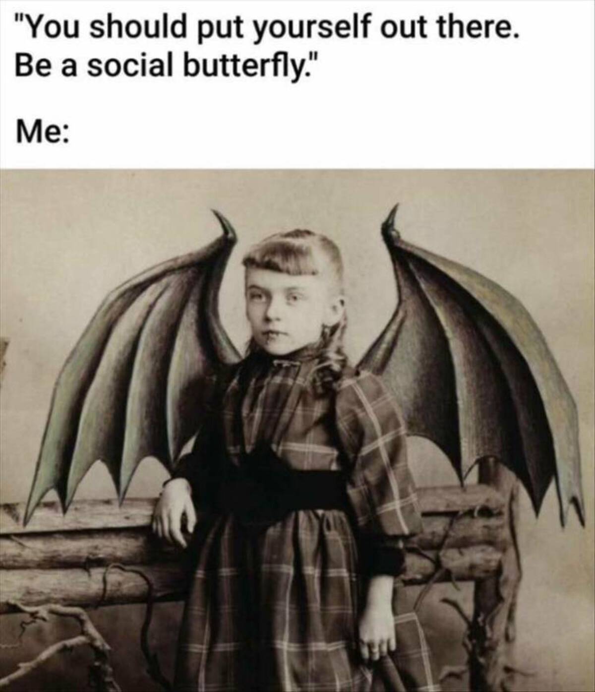 put yourself out there meme - "You should put yourself out there. Be a social butterfly." Me