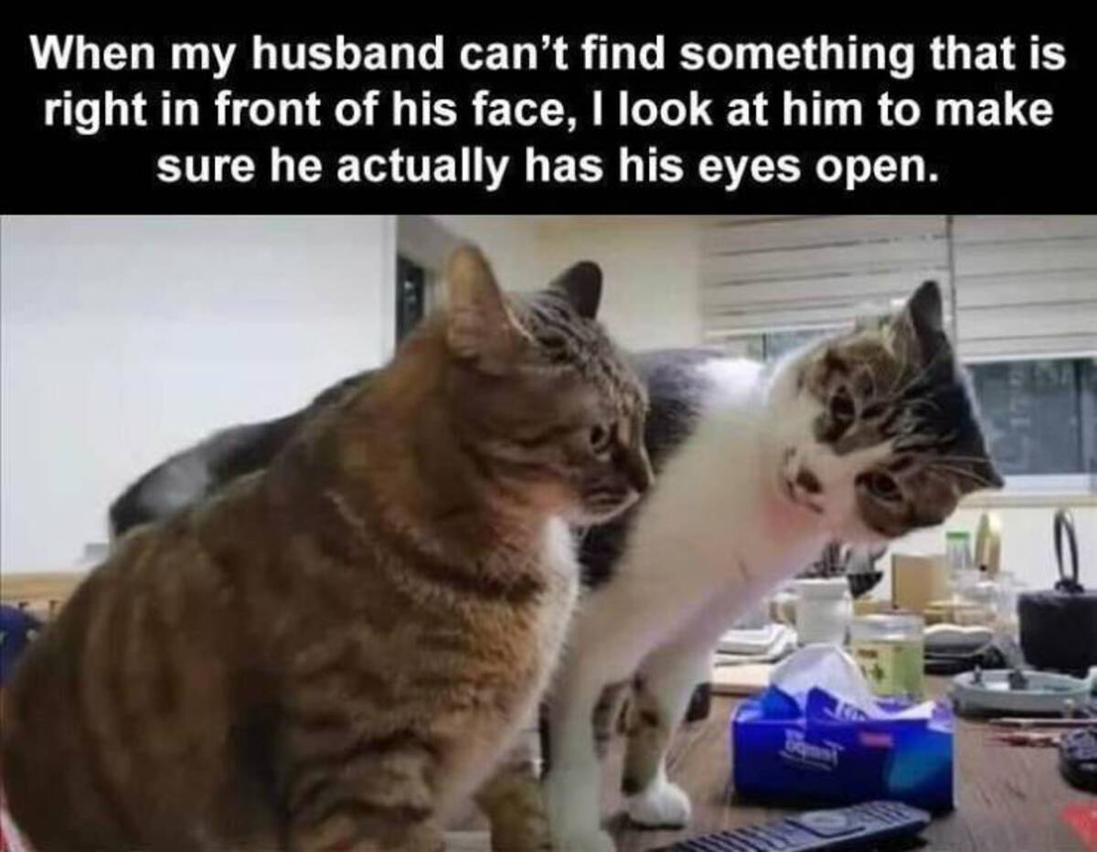 looking for husband meme - When my husband can't find something that is right in front of his face, I look at him to make sure he actually has his eyes open.