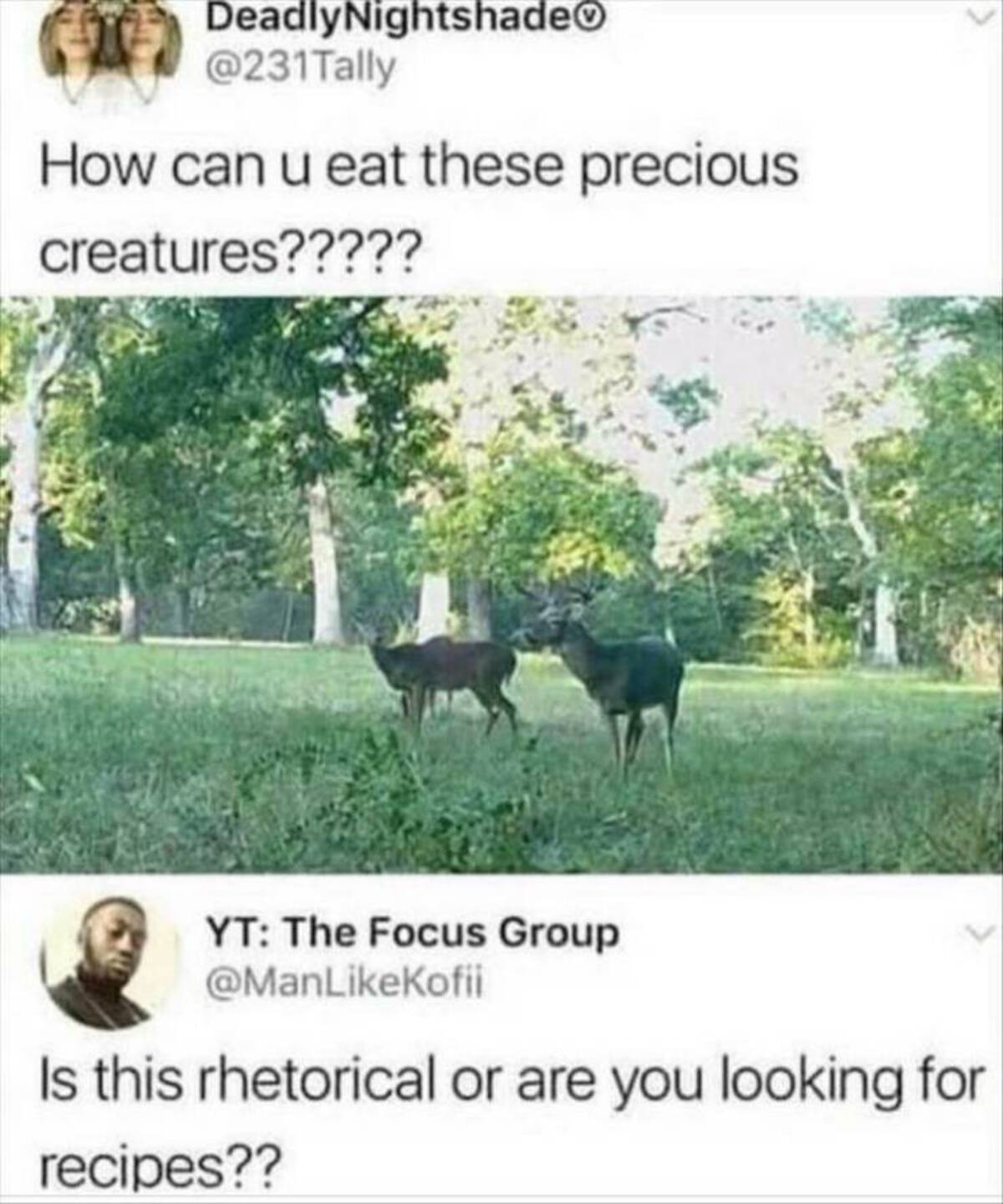 deer meme recipe - DeadlyNightshade How can u eat these precious creatures????? Yt The Focus Group Is this rhetorical or are you looking for recipes??