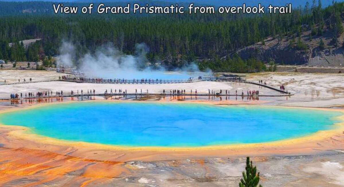 geyser - View of Grand Prismatic from overlook trail