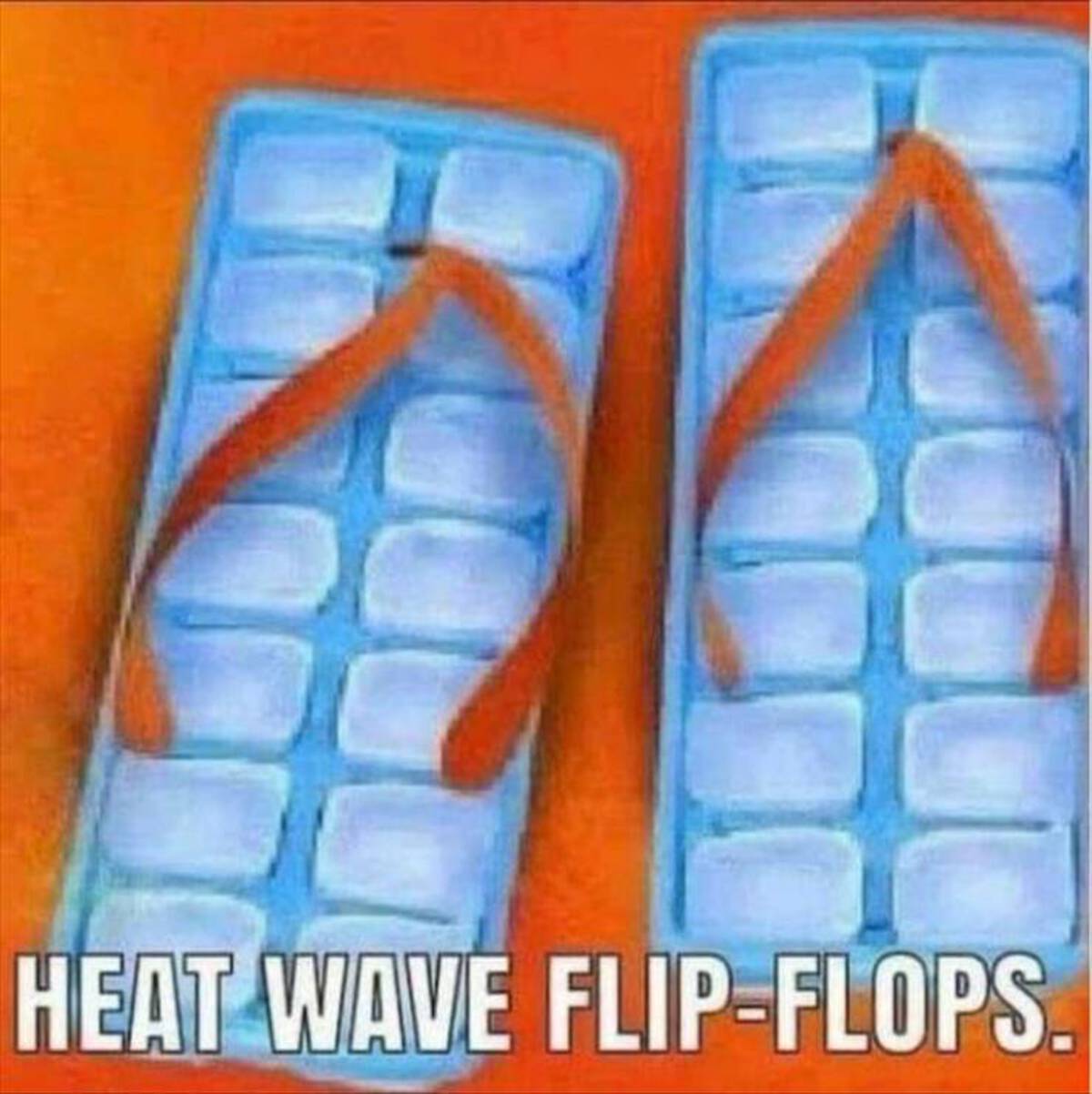 heat wave meme - Heat Wave FlipFlops.