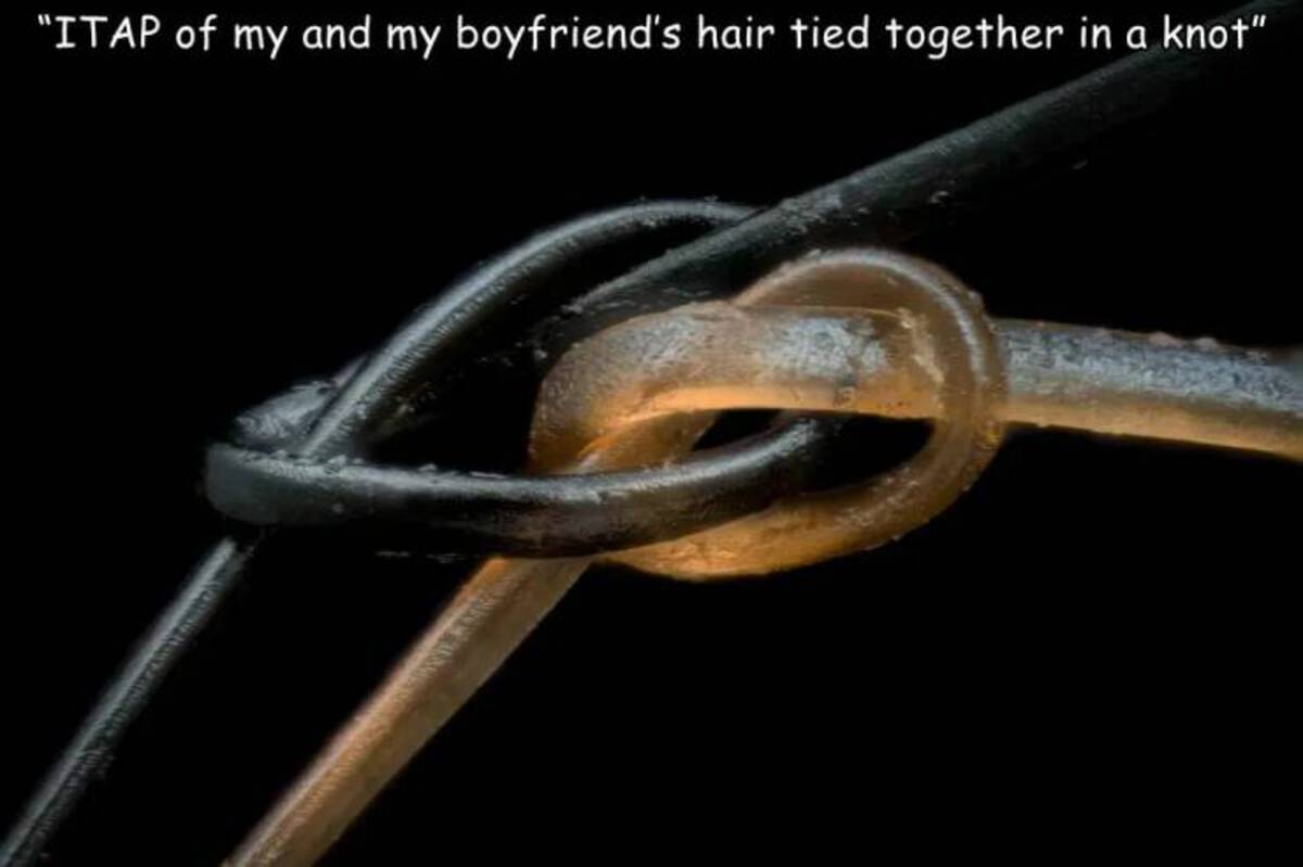 macro photography - "Itap of my and my boyfriend's hair tied together in a knot"