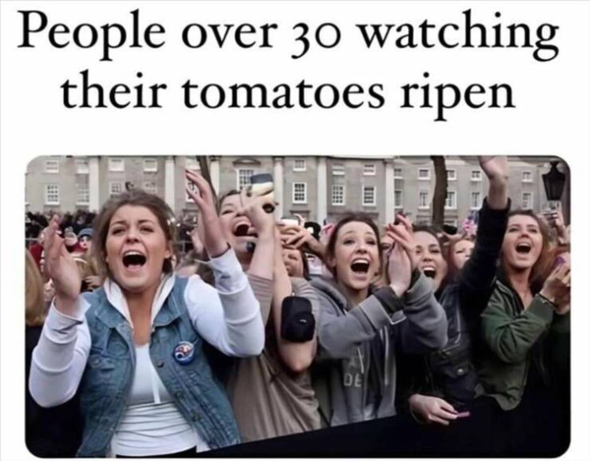 batman robert pattinson meme - People over 30 watching their tomatoes ripen De