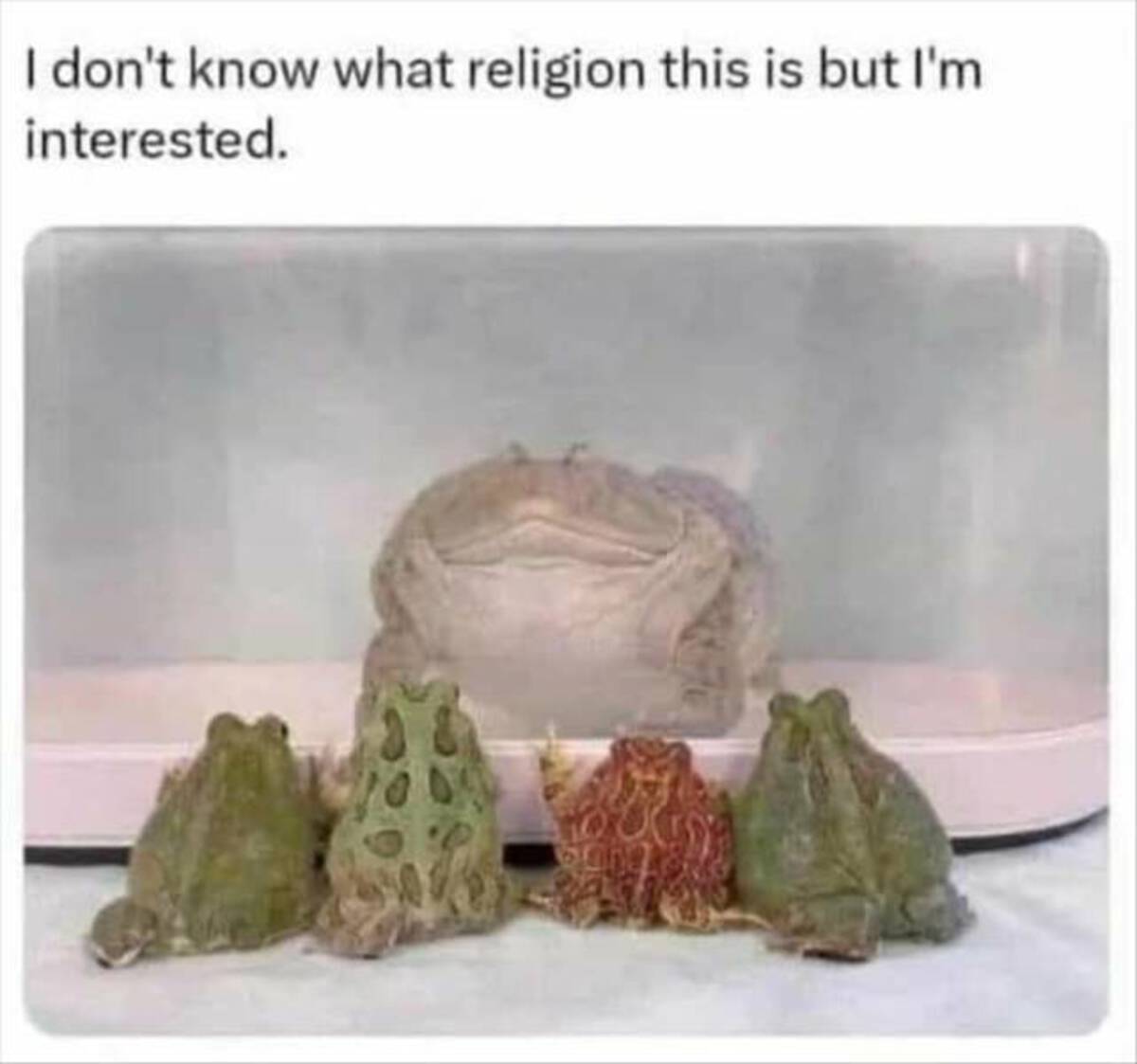 don t know what religion - I don't know what religion this is but I'm interested.