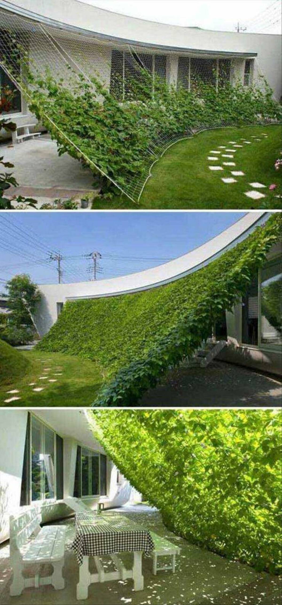 japan green wall