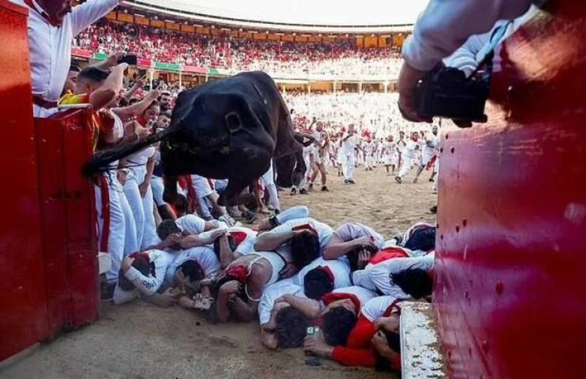 Running of the bulls