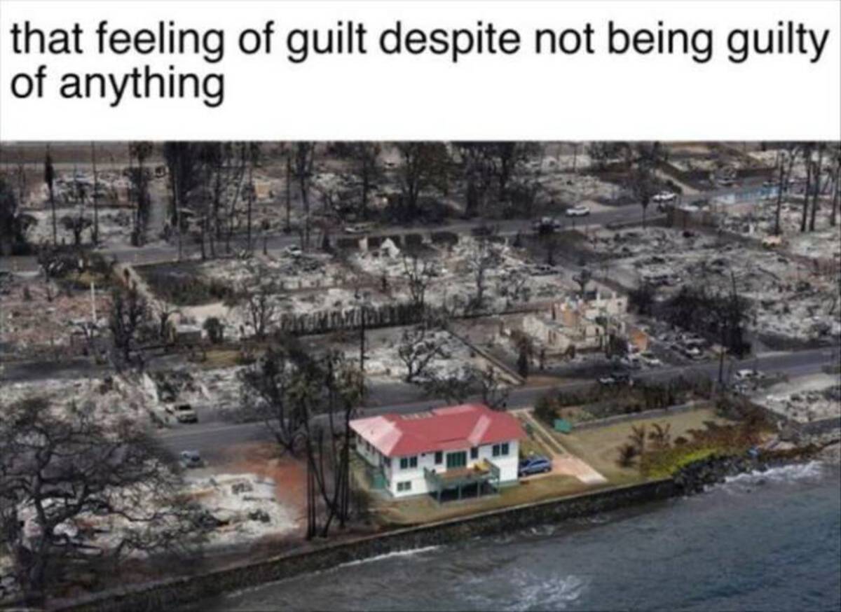 oprah's house hawaii fire - that feeling of guilt despite not being guilty of anything