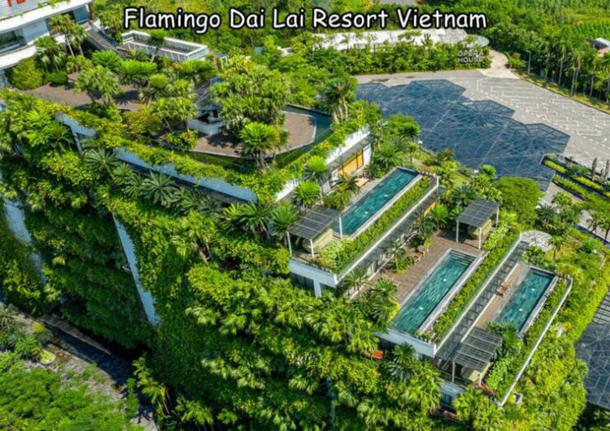 flamingo dai lai resort - Flamingo Dai Lai Resort Vietnam